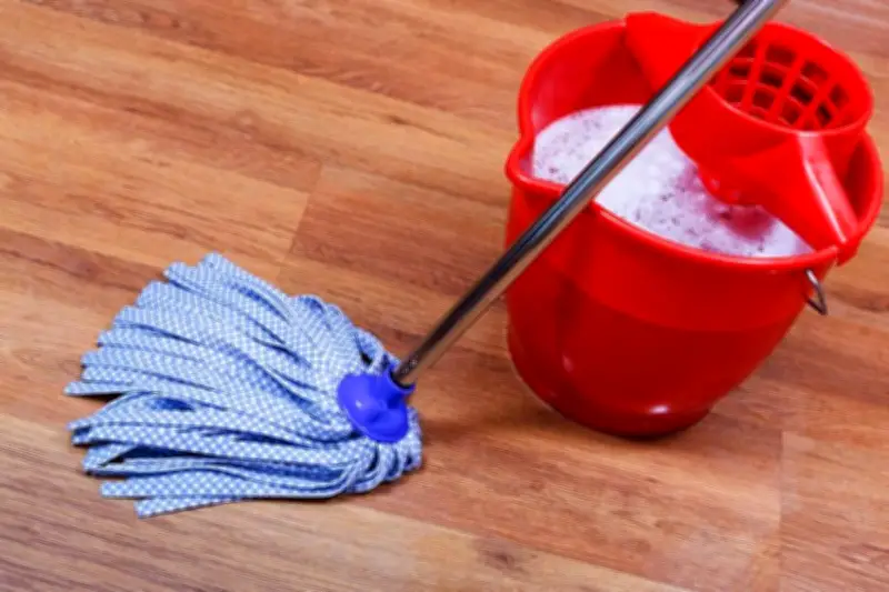 Air Bekas Pel Bisa untuk Siram Tanaman, Tapi Perhatikan Bahan dan Jenisnya