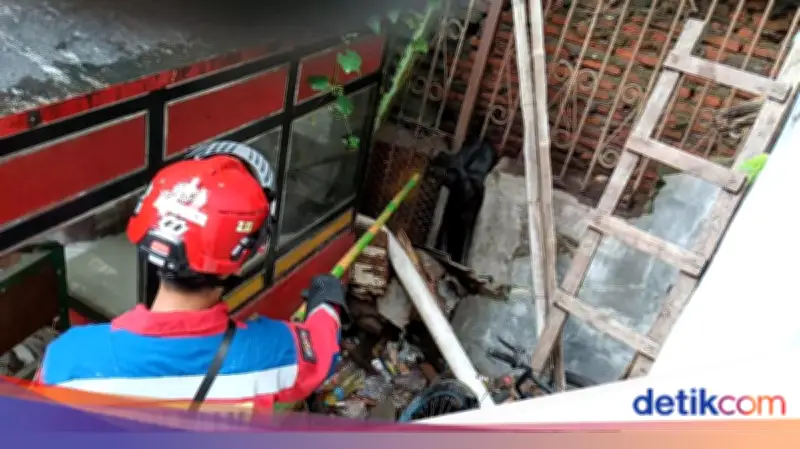 Anjing Terjepit Pagar di Penjaringan Jakut, Damkar Evakuasi dengan Selamat