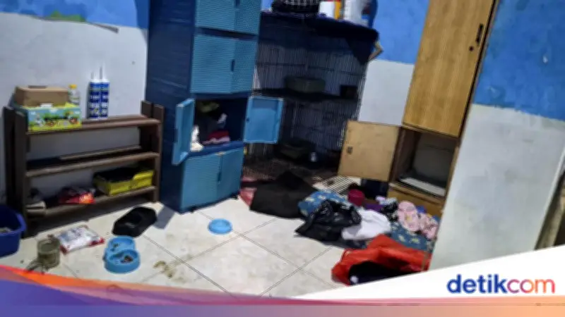 Balita Surabaya Dianiaya Paman-Bibi: Diberi Makanan Kucing hingga Disuruh Makan Pasir