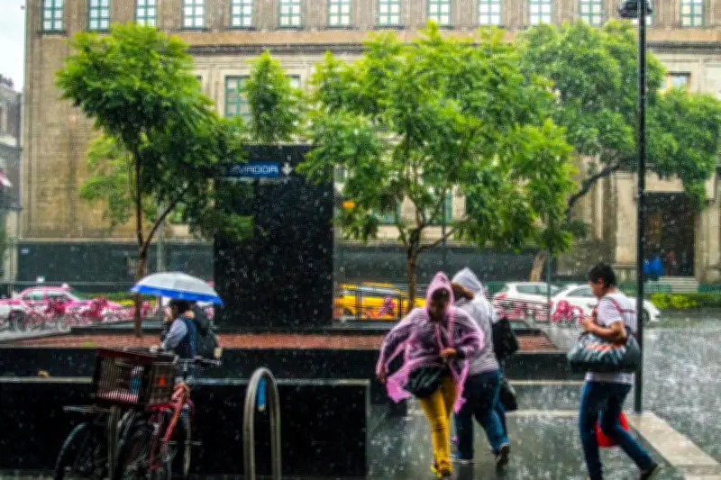 BMKG Peringatkan Cuaca Ekstrem Hujan Lebat dan Angin Kencang Melanda Indonesia