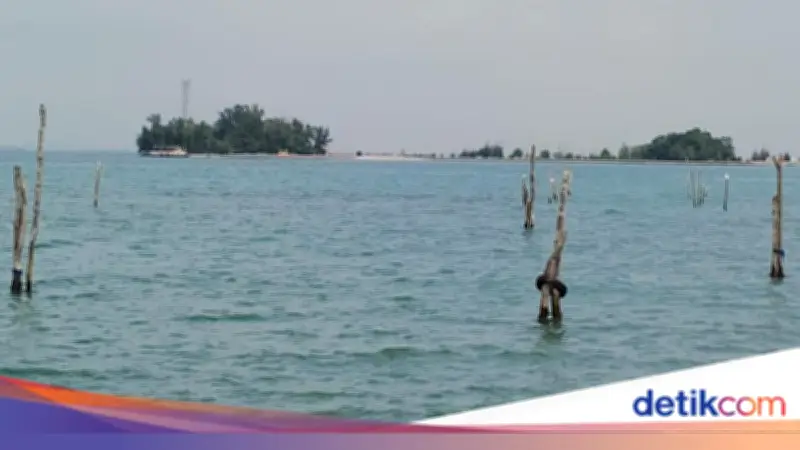 BMKG Peringatkan Potensi Banjir Rob di Sejumlah Pesisir Indonesia 12-19 Februari