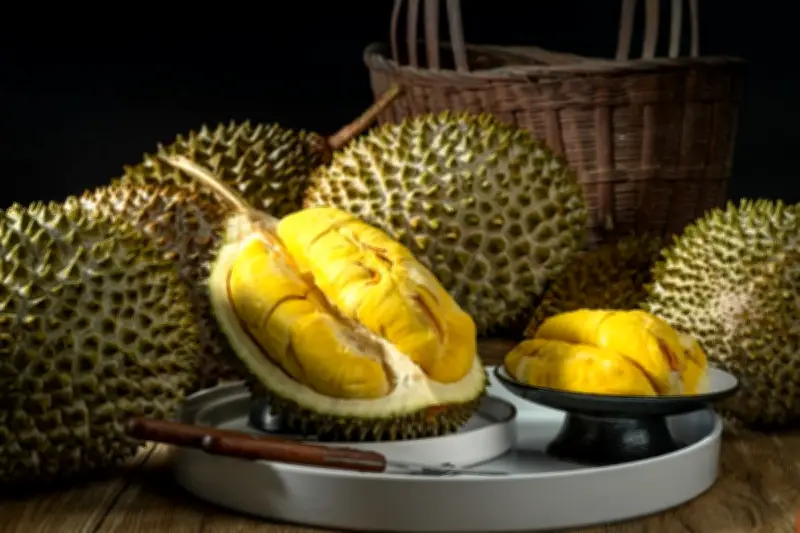 Bolehkah Bawa Durian ke Kamar Hotel? Ini Aturan dan Jawabannya