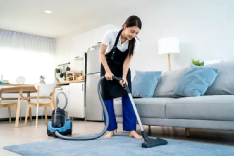 Bulu Hewan Peliharaan di Karpet: Ancaman Alergi dan Cara Mengatasinya