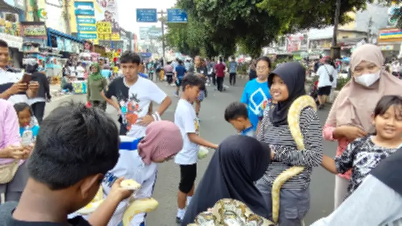 CFD Depok Jadi Ajang Edukasi Reptil, Ular dan Iguana Ramaikan Jalan Margonda