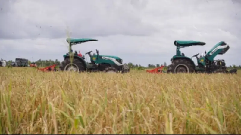 Deregulasi Pangan 2025–2026 Perkuat Swasembada dan Hilirisasi Pertanian