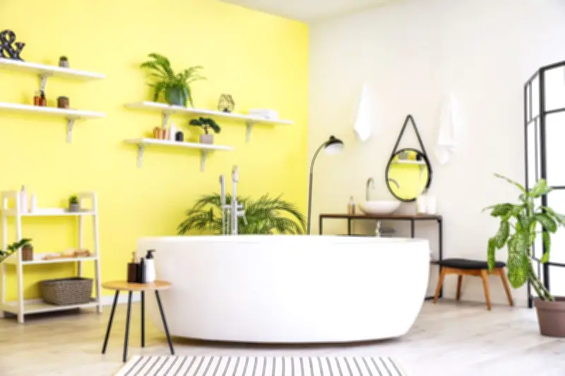 Feng Shui 2026: Warna untuk Keseimbangan dan Keberuntungan di Tahun Kuda Api