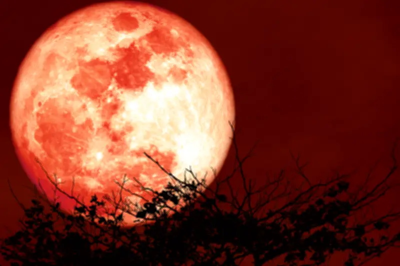 Gerhana Bulan Total 3 Maret 2026 Akan Terlihat di Indonesia, Ini Jadwal Lengkapnya