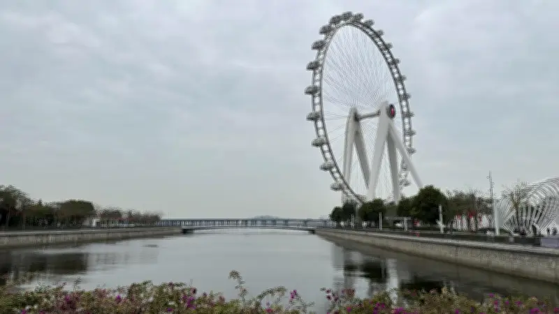Happy Harbor Shenzhen: Oasis Ketenteraman di Tengah Kota yang Bergejolak