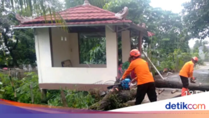 Hujan Angin di Cibinong Bogor, Pohon Tumbang Timpa 3 Rumah Warga