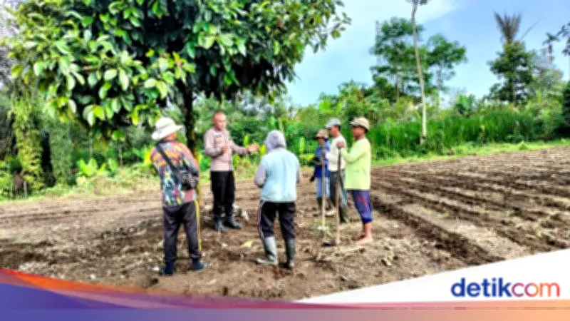 Ipda Subamia Usung Budidaya Jahe Gajah di Bangli, Diusulkan untuk Hoegeng Awards 2026