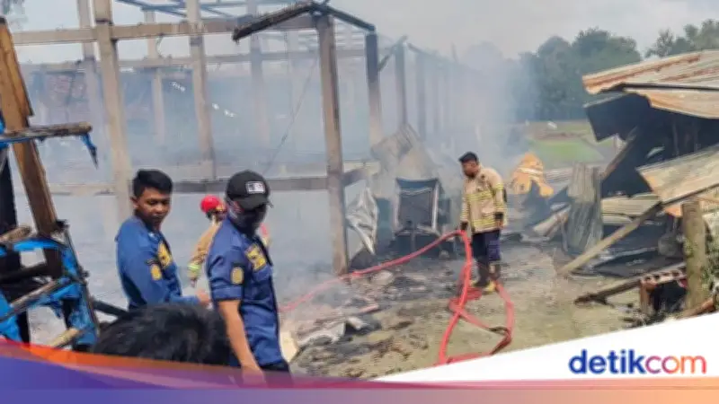Kebakaran Kandang Ayam di Boyolali, 10 Ribu Ekor Ternak Mati Terpanggang
