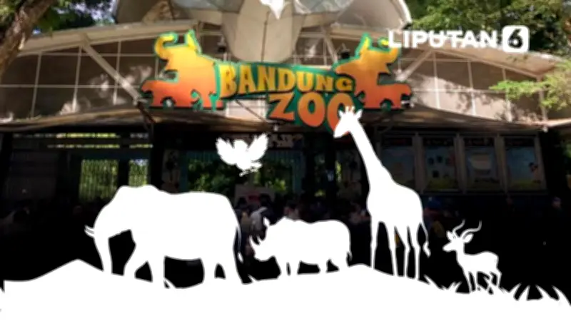 Kemenhut Cabut Izin Pengelola Bandung Zoo, Satwa 711 Individu Dilindungi Diselamatkan