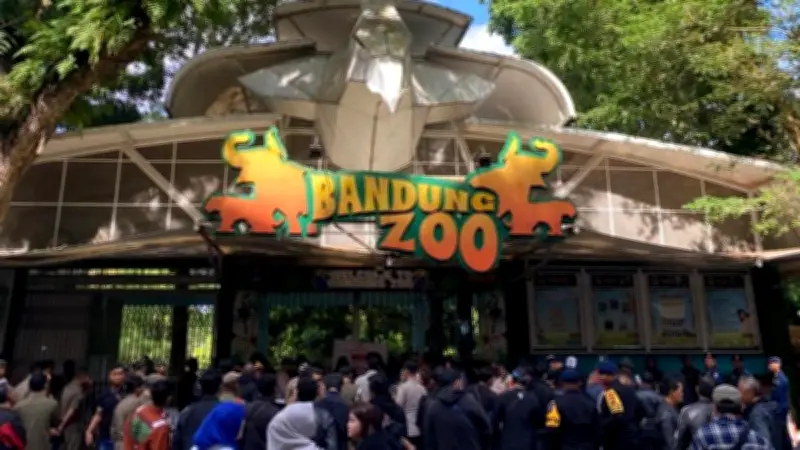 Kemenhut Cabut Izin Pengelola Kebun Binatang Bandung, Ambil Alih Perawatan Satwa