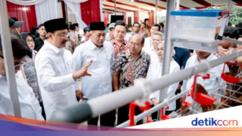 Kemensos Salurkan Bantuan Ayam Petelur untuk 70 KPM di Purworejo, Dukung Kemandirian Ekonomi