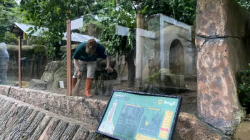 Kisruh Pengelolaan Bandung Zoo, Nasib 124 Pekerja dan Ratusan Pedagang Mengambang