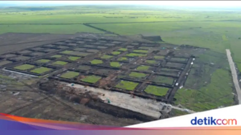 KKP Mulai Bangun Kawasan Tambak Udang Terintegrasi di Waingapu, Sumba Timur