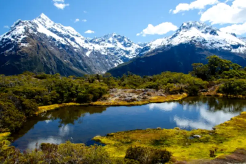 Kuliah Gratis di New Zealand Dibuka 1 Maret via Beasiswa Manaaki