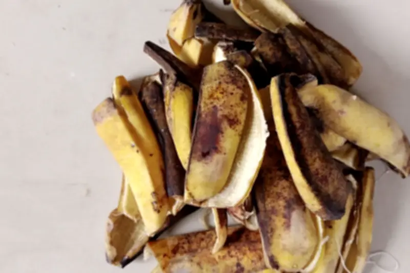 Kulit Pisang, Sumber Nutrisi Murah untuk Tanaman Mawar Hias