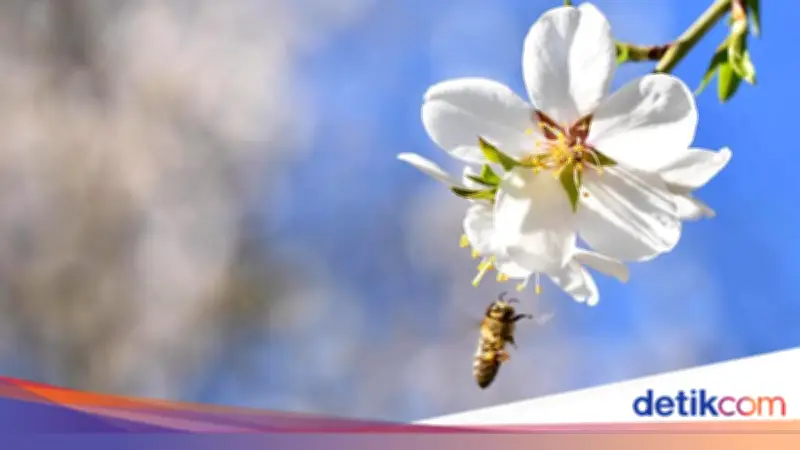 Laporan IPBES: Model Bisnis Eksploitatif Ancam Keanekaragaman Hayati dan Kemakmuran