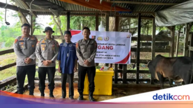 Mahasiswa STIK Sumbang 70 Sapi untuk Tradisi Meugang di Aceh Pascabencana