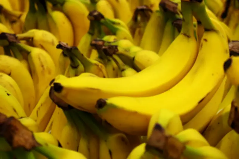 Manfaat Rutin Makan Pisang Setiap Hari untuk Kesehatan Tubuh