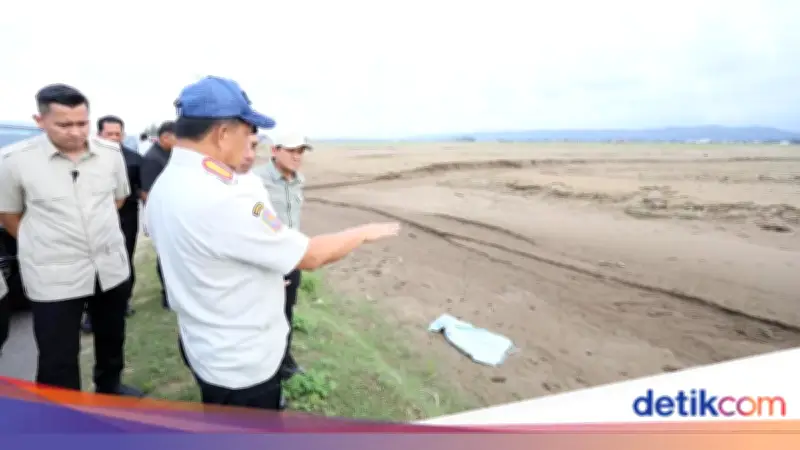 Mendagri Tito Tinjau Sawah Tertutup Lumpur di Aceh, Desak Kementan Segera Bertindak