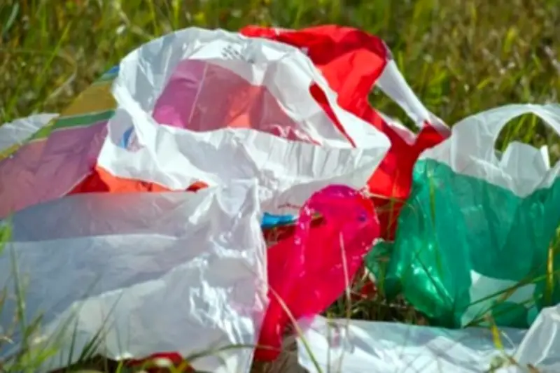 Mendikti Dorong Perguruan Tinggi Kembangkan Teknologi Pengelolaan Sampah