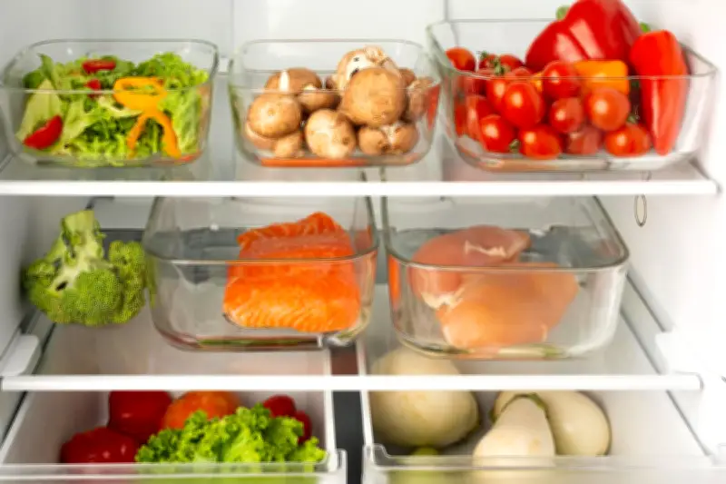 Panduan Lengkap Menyimpan Sisa Makanan di Kulkas dan Freezer