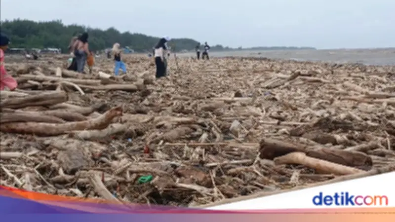 Pemerintah Dalami Dugaan Penebangan Hutan Picu Banjir Bandang di Guci Tegal