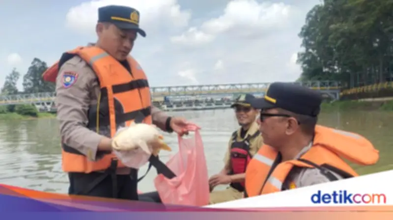 Pencemaran Pestisida di Sungai Cisadane Tangerang, Polisi Salurkan Air Bersih