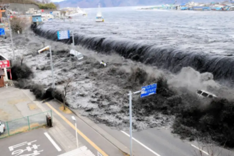 Peneliti Ungkap Lapisan Tanah Liat Licin Perparah Tsunami Gempa Tohoku 2011