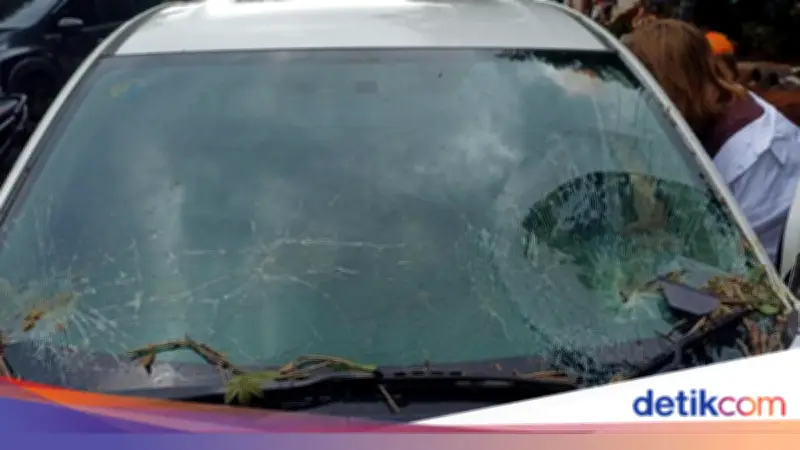 Pohon Tumbang di Jalan TB Simatupang Jaksel, Timpa Mobil Honda HRV hingga Kaca Pecah