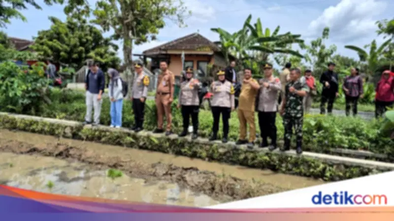 Polda Jateng Kembangkan Padi Japonica Tarabas untuk Dukung Swasembada Beras
