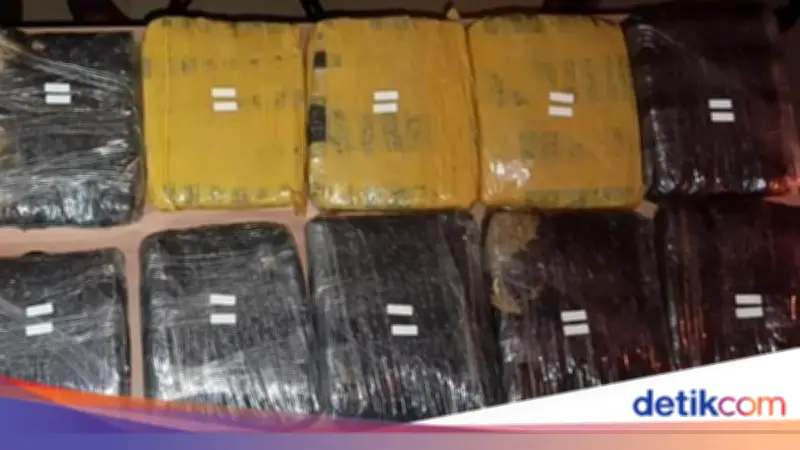 Polda Metro Jaya Amankan 15,5 Kg Ganja, Tiga Tersangka Ditangkap di Dua Lokasi