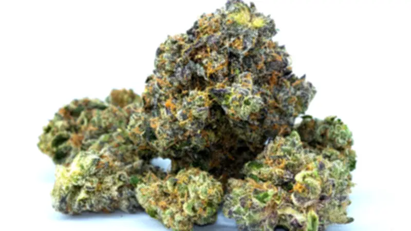 Polisi Bongkar Peredaran 9,4 Kg Ganja di Cawang Jaktim, Tiga Tersangka Ditangkap