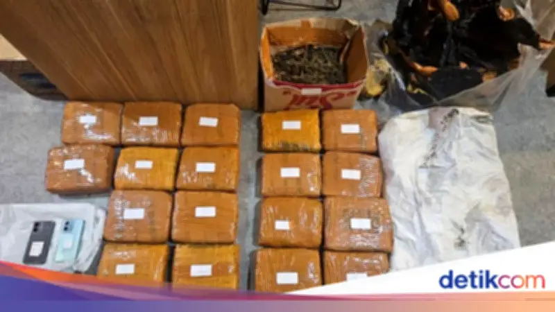 Polisi Tangkap Pengedar Ganja di Jakbar, 18 Kilogram Barang Bukti Disita