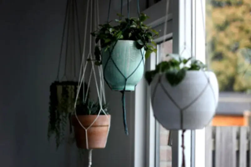 Pot Gantung: Solusi Berkebun Vertikal untuk Lahan Terbatas dan Dekorasi Rumah