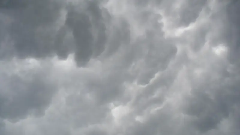 Prakiraan Cuaca Jabodetabek Rabu 25 Februari 2026: Berawan Tebal hingga Hujan Sedang