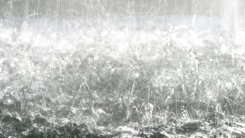 Prakiraan Cuaca Jakarta: Hujan Guyur Sebagian Besar Wilayah Hari Ini