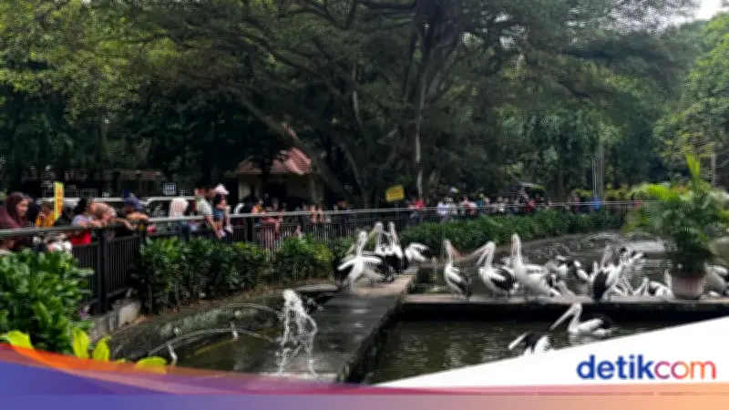 Ragunan Tetap Buka Selama Ramadan 2026: Ini Jadwal dan Harga Tiket Terbaru