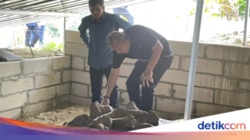 Saan Mustopa Dorong Reboisasi untuk Lindungi Situs Purbakala Patiayam di Kudus