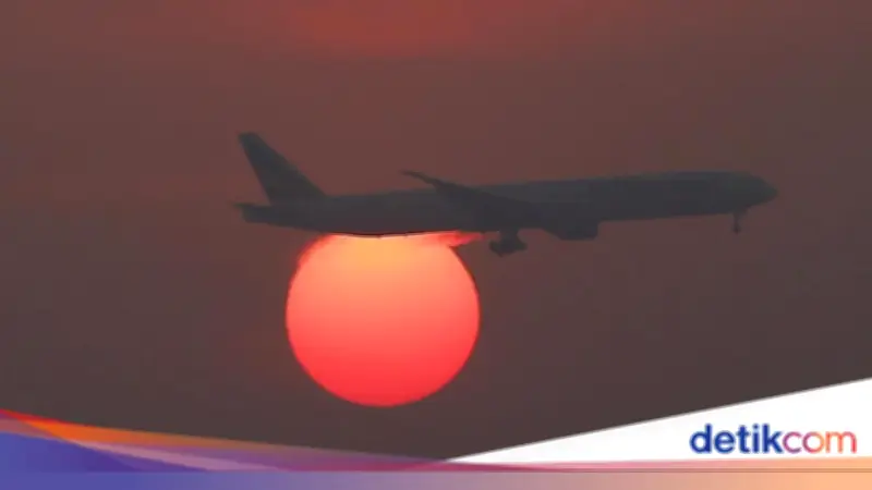 Salah Naik Pesawat United Airlines, Penumpang Terdampar di Jepang