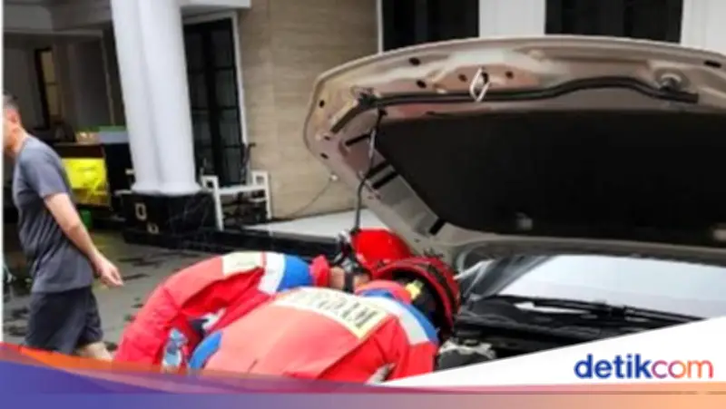 Sanca Albino Peliharaan Kabur, Ternyata Bersembunyi di Balik Kap Mobil di Jaktim