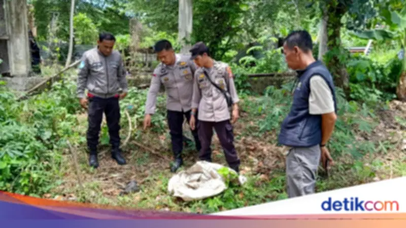 Santriwati Mamuju Buang Bayi di Belakang Ponpes Usai Ditinggal Pacar yang Menikah