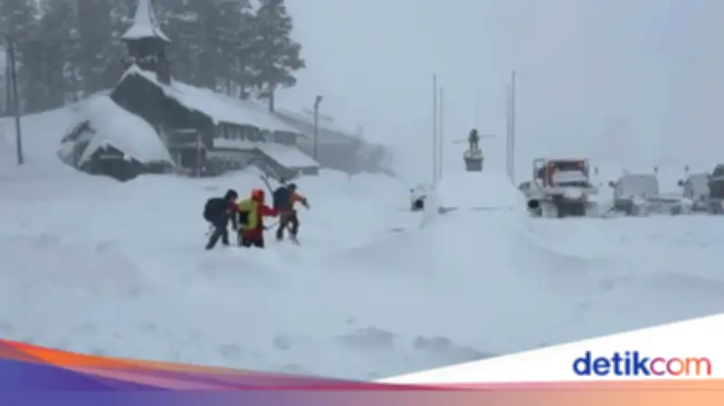 Sembilan Pemain Ski Hilang Diterjang Longsor Salju di California