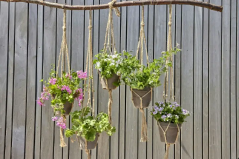 Solusi Berkebun di Lahan Sempit: Panen Sayuran dari Pot Gantung