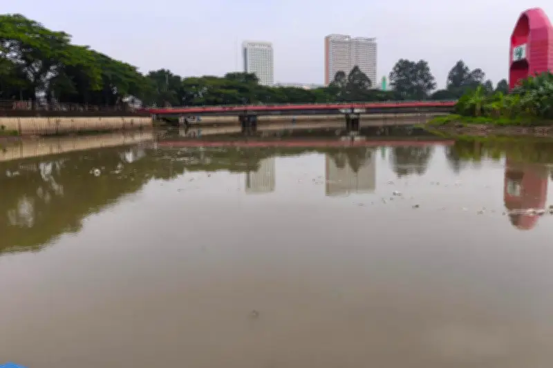 Sungai Cisadane Memutih Usai Kebakaran Gudang Pestisida, Ikan Menggambang
