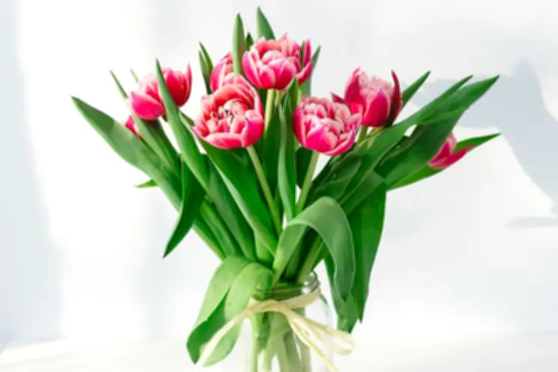Tips Merawat Bunga Potong Agar Tahan Lebih Lama di Vas