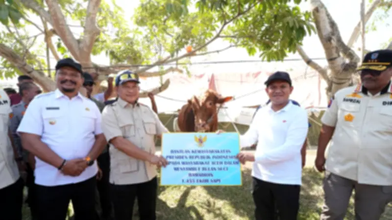 Tito Karnavian Serahkan Bantuan 1.455 Sapi Presiden Prabowo untuk Korban Bencana Aceh