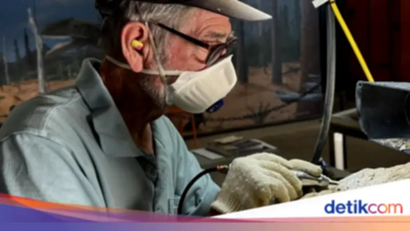 Warga Dunia Bersatu Bersihkan Fosil Ichthyosaur 100 Juta Tahun di Australia